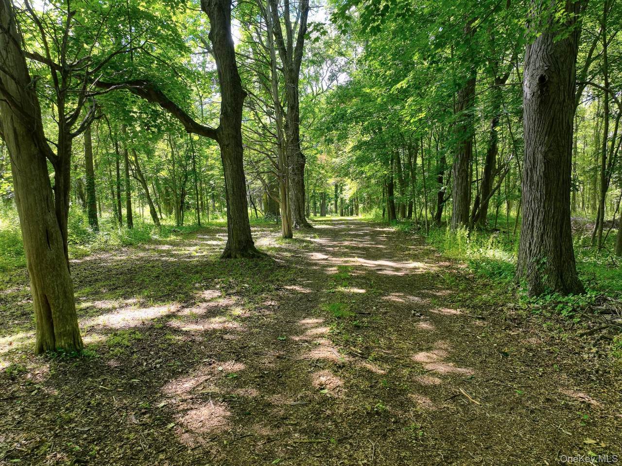 https://bt-photos.global.ssl.fastly.net/wpmls/1280_boomver_1_1017758-1.jpg