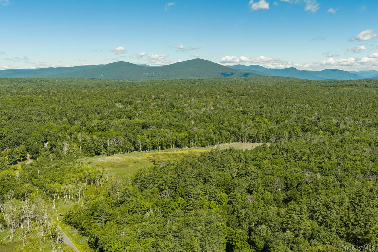 TBD Buck Road - Photo 1