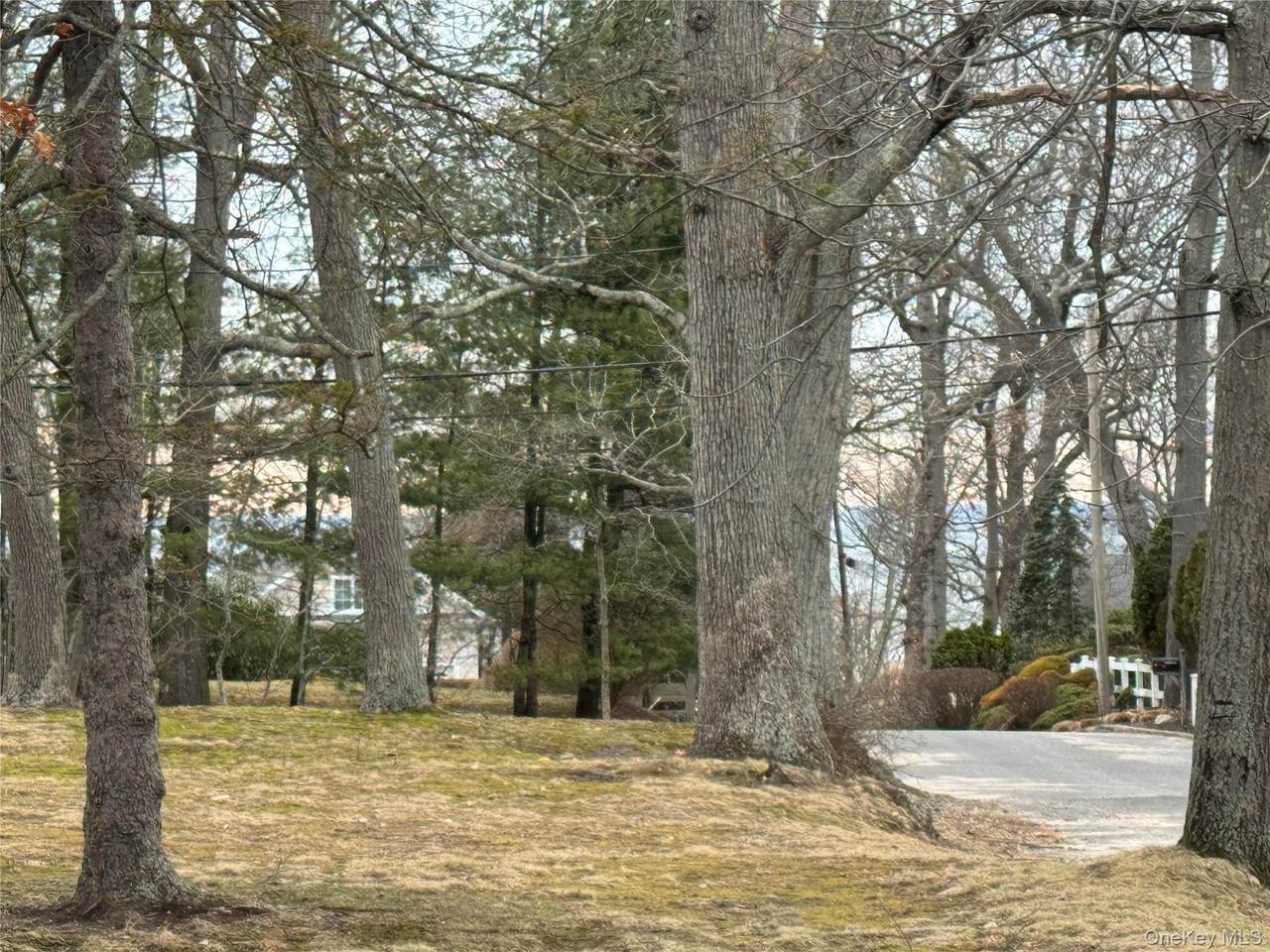  Dogwood Drive - Photo 1