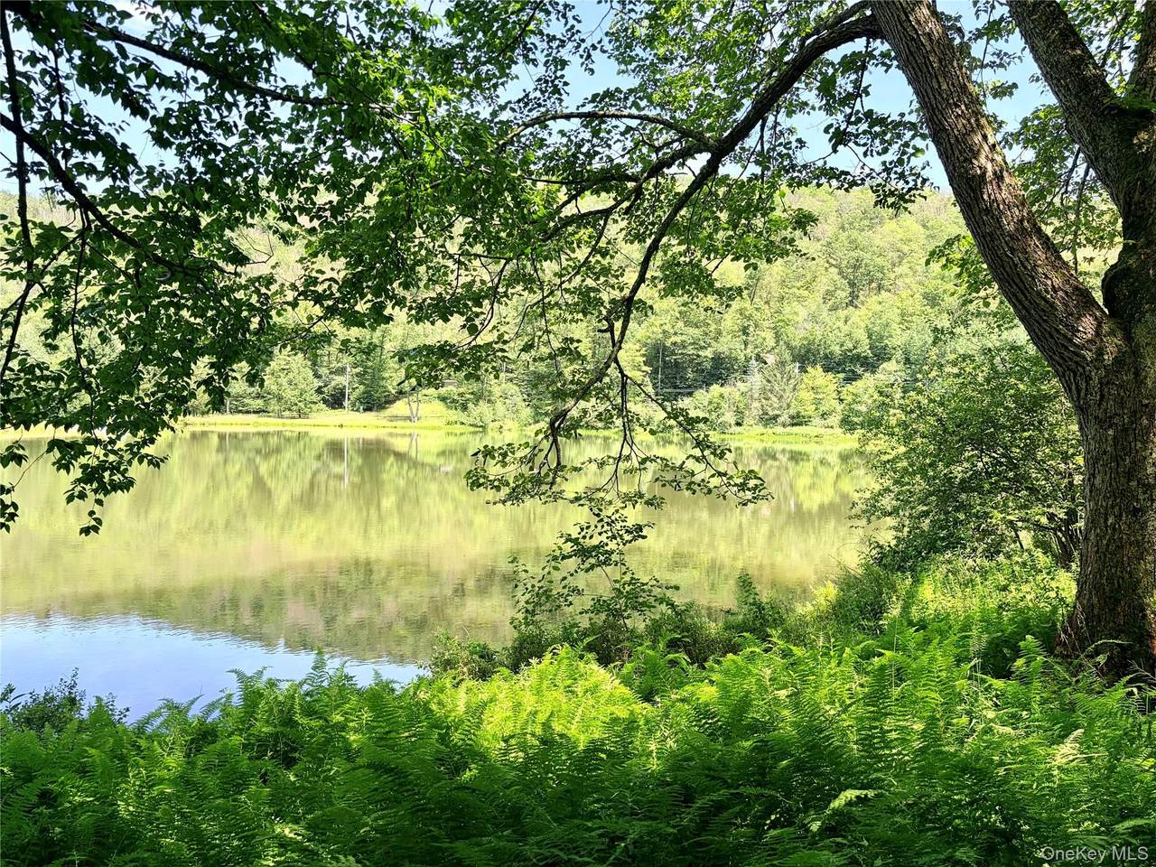https://bt-photos.global.ssl.fastly.net/wpmls/1280_boomver_1_1024279-1.jpg