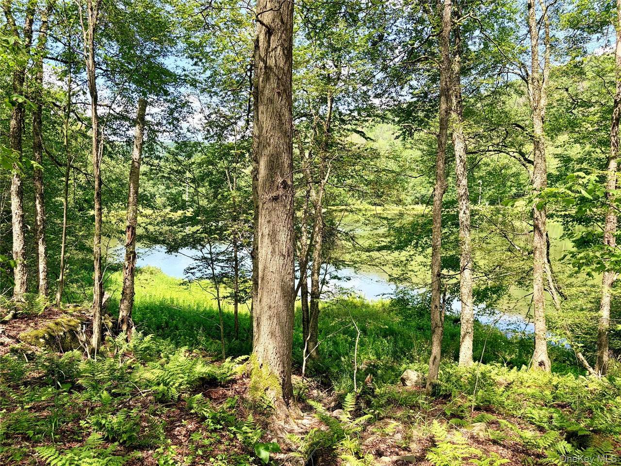 https://bt-photos.global.ssl.fastly.net/wpmls/1280_boomver_1_1024279-1.jpg