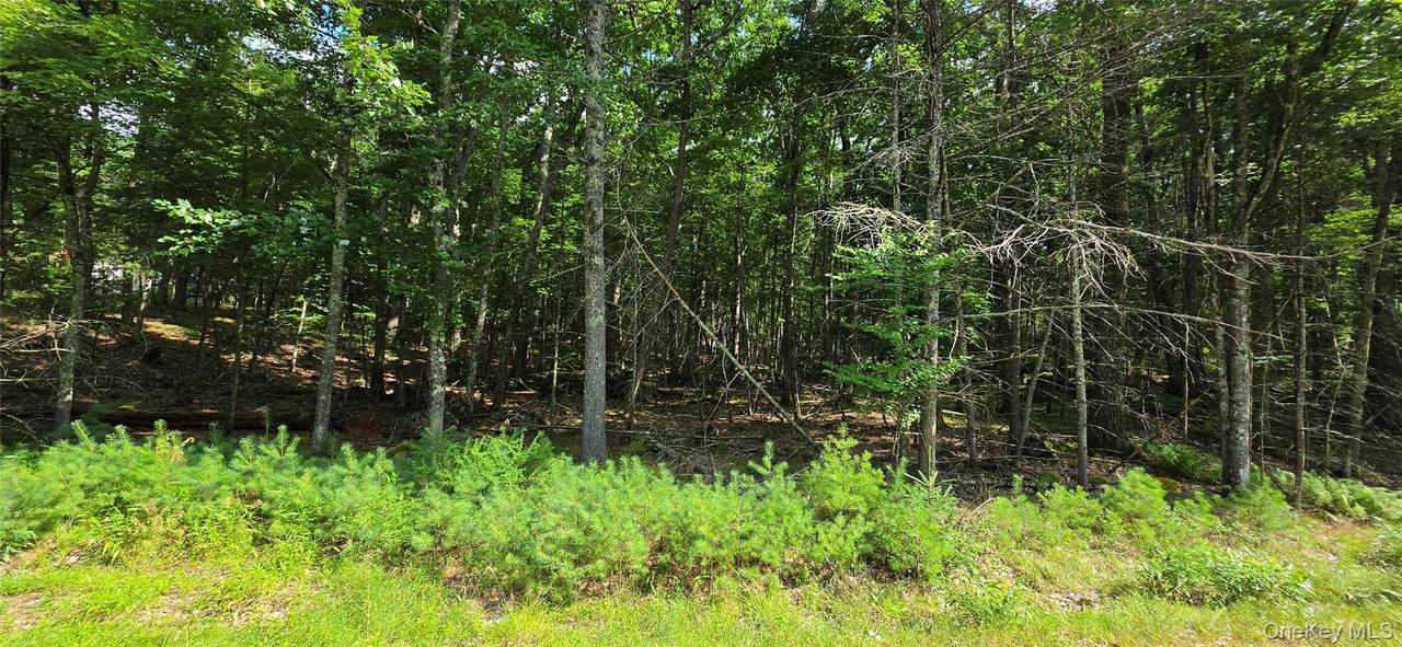 Lot 34.25 Lakeview Drive Road - Photo 1