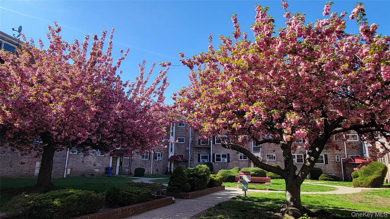 65-30 Grand Central Parkway - Photo 1