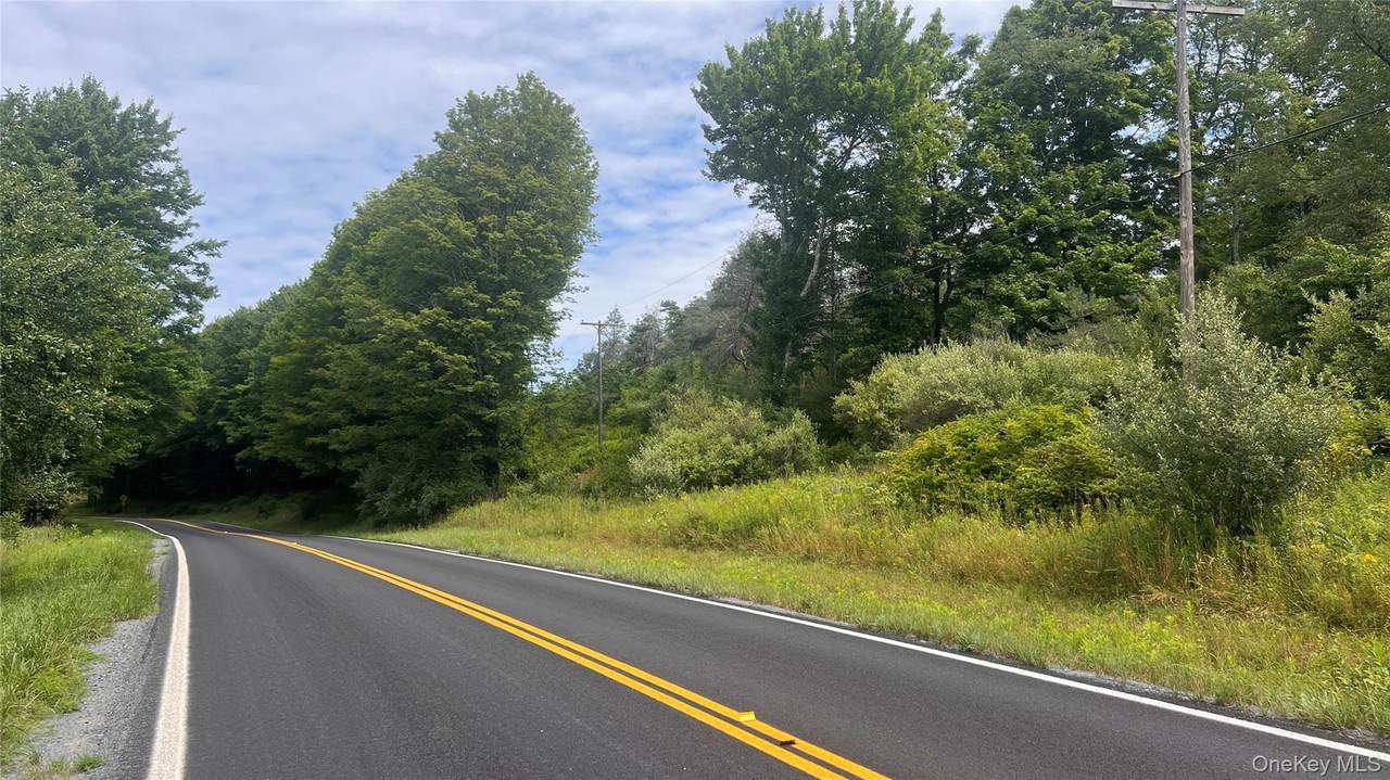  Horseshoe Lake Road - Photo 1
