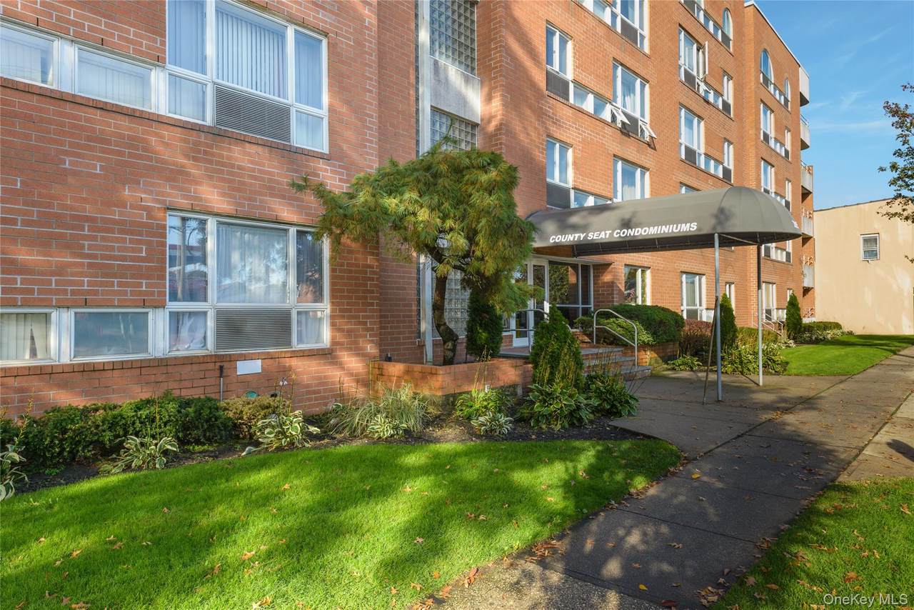 205 Mineola Boulevard - Photo 1