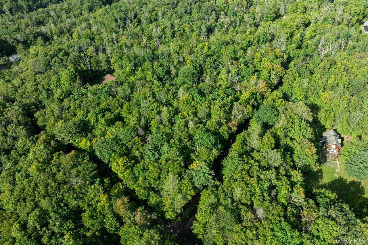 Lot 6 Mt Guardian Road - Photo 1
