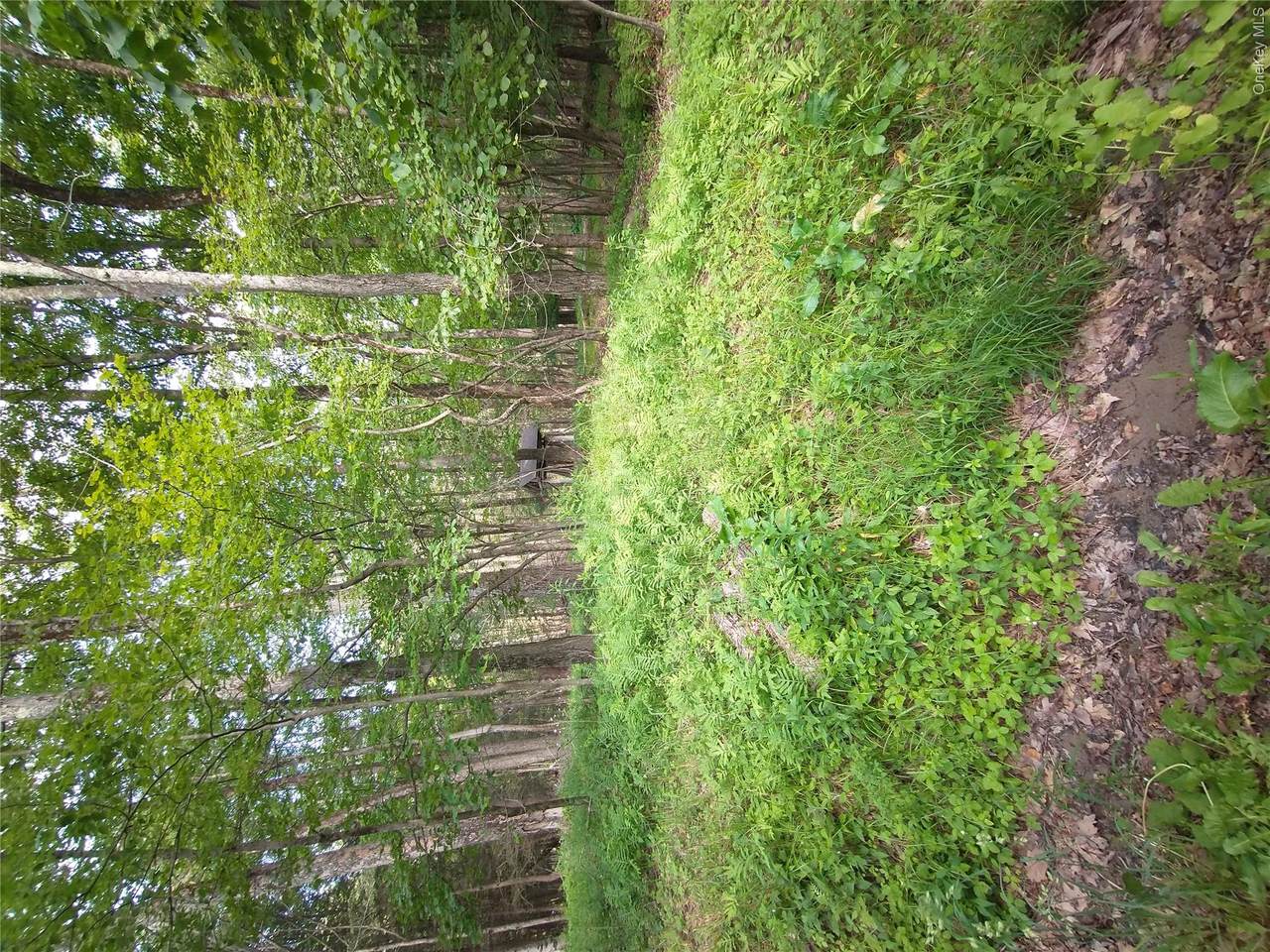 https://bt-photos.global.ssl.fastly.net/wpmls/1280_boomver_1_1050222-1.jpg