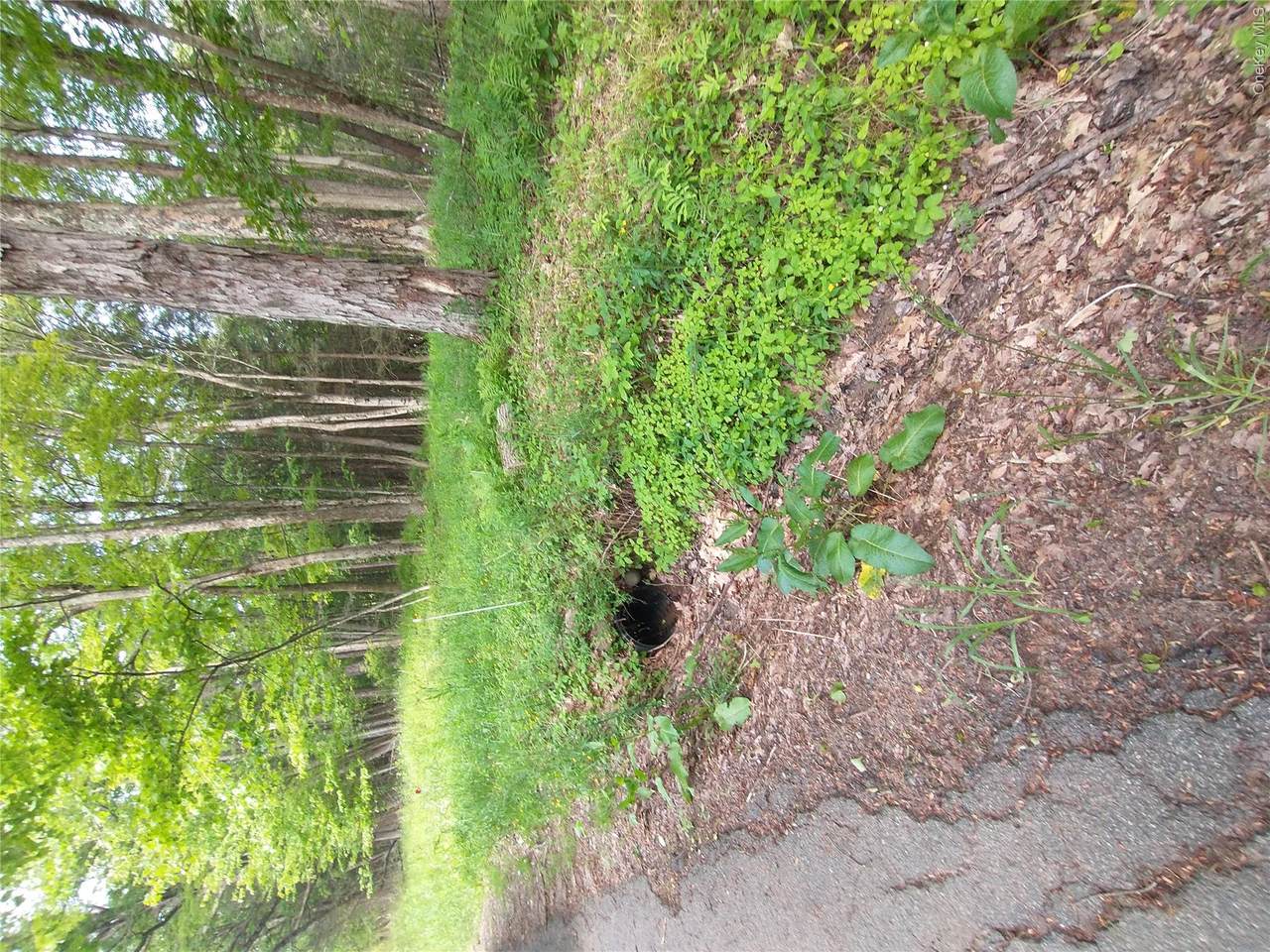 https://bt-photos.global.ssl.fastly.net/wpmls/1280_boomver_1_1050222-1.jpg