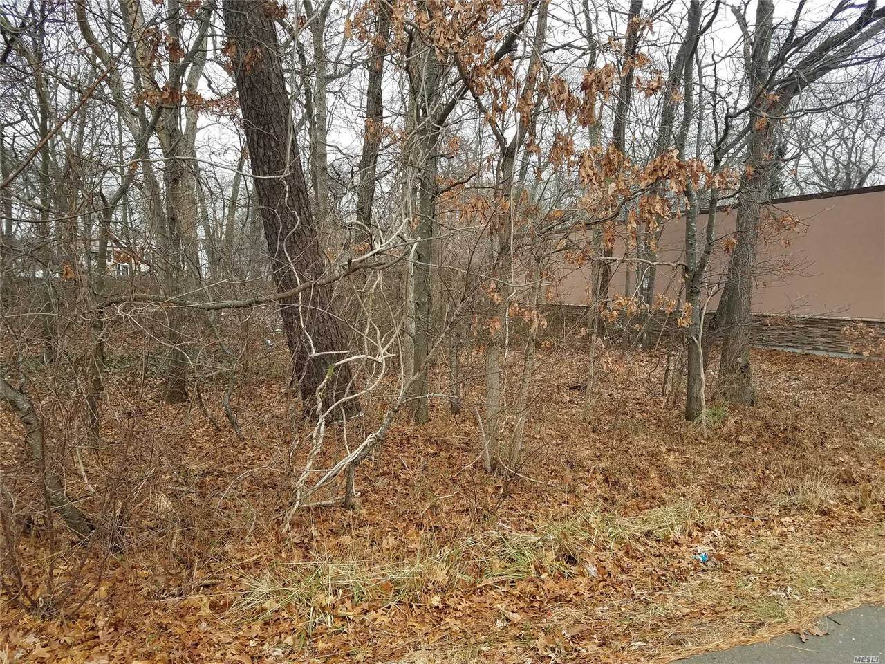 William Floyd Parkway - Photo 1