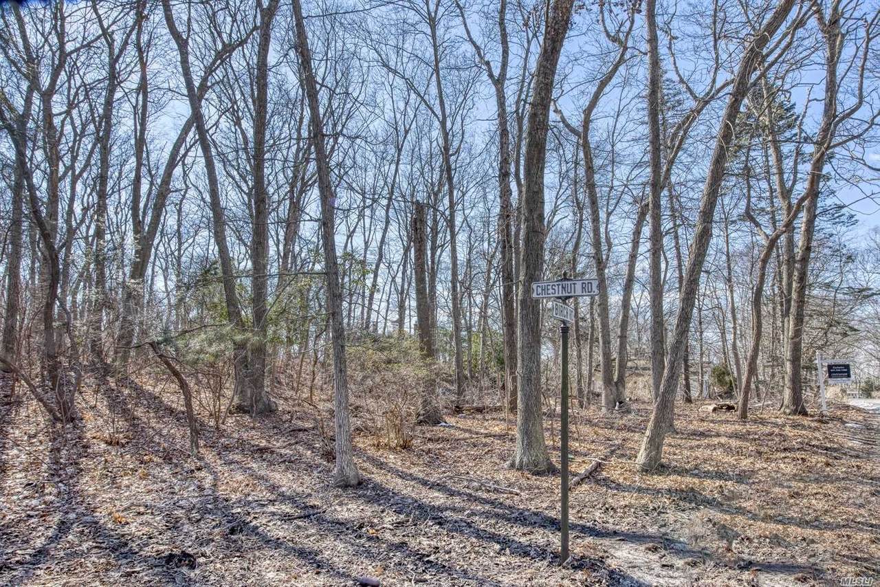 75 Birch Road - Photo 1