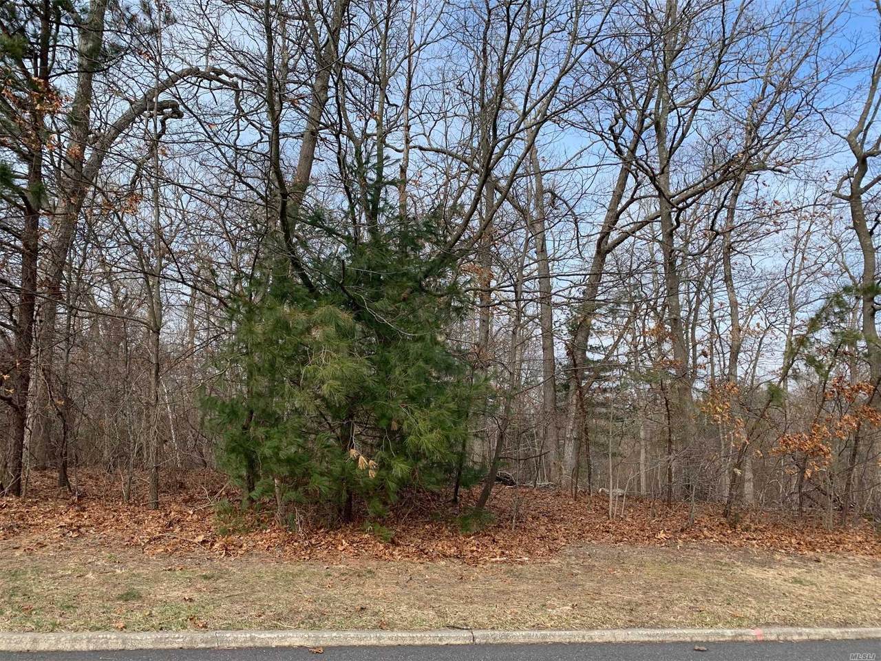 0 Bunker Lane - Photo 1