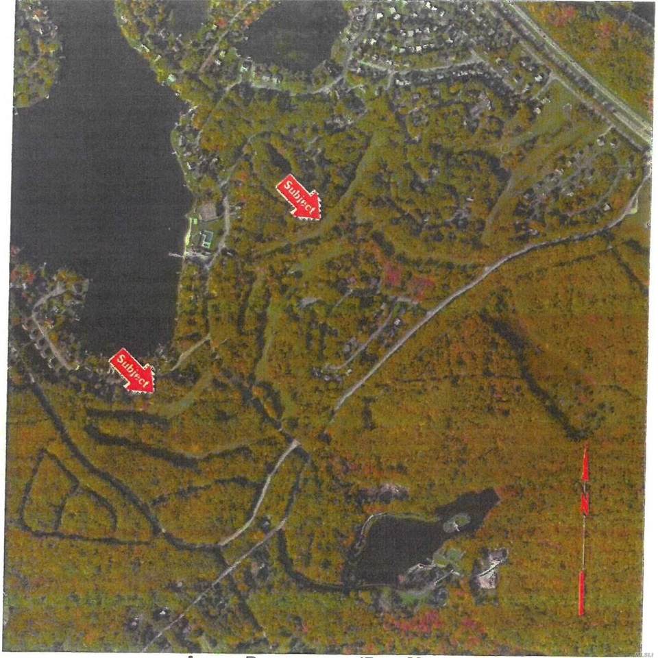 Wolf Lake Road - Photo 1