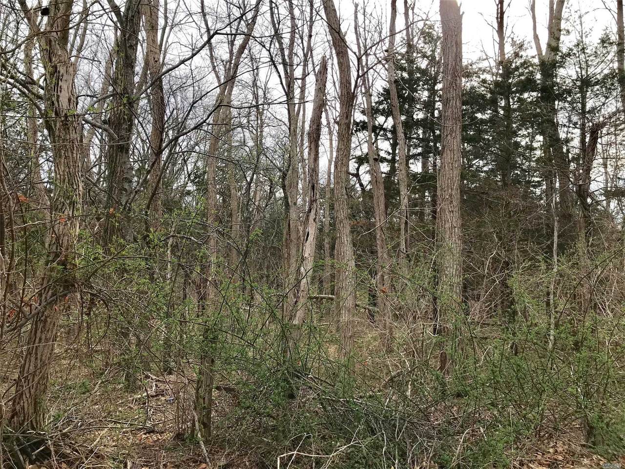 515 West Lane - Photo 1