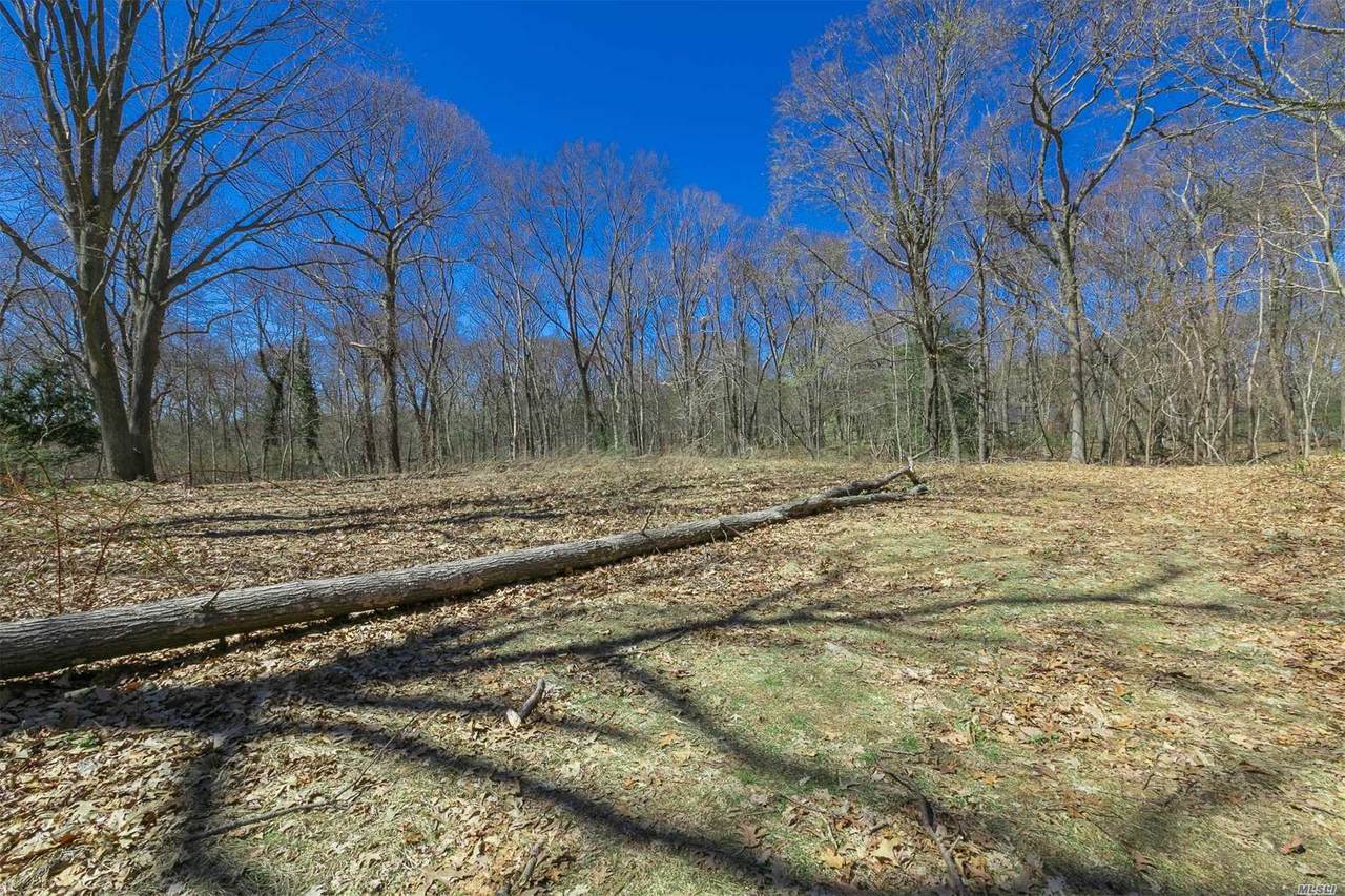 5 Hawks Nest - Photo 1