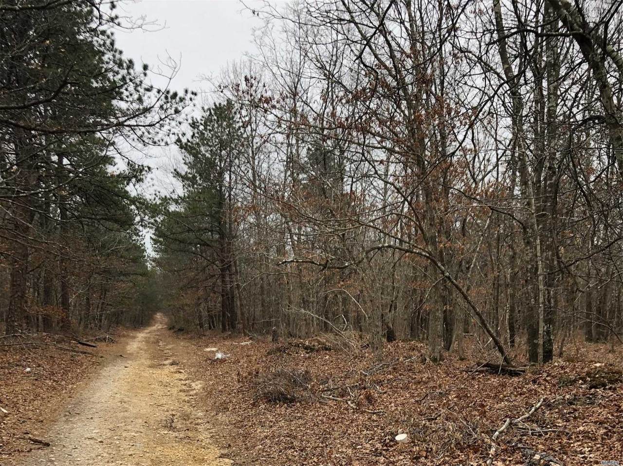 Woodland Road - Photo 1