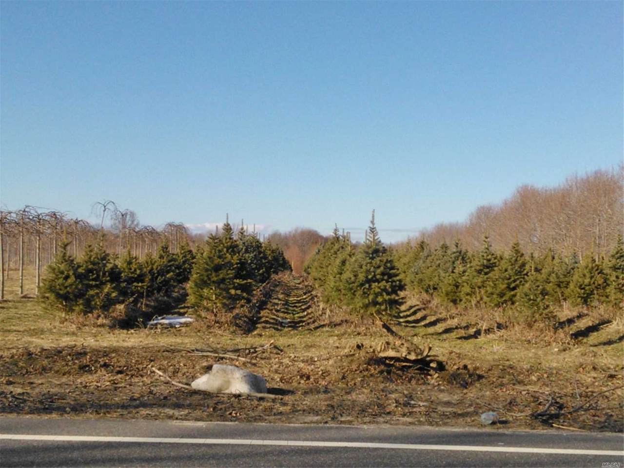 150 Longwood Road - Photo 1