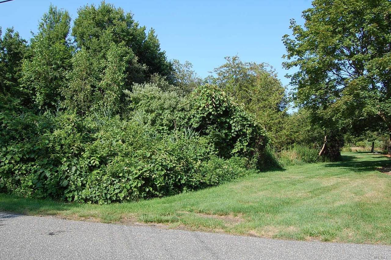 V/L 57 Watchogue Avenue - Photo 1