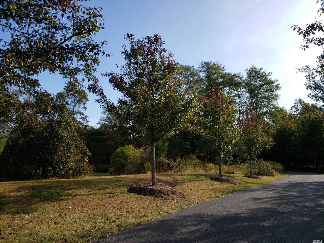 Pier Avenue - Photo 1