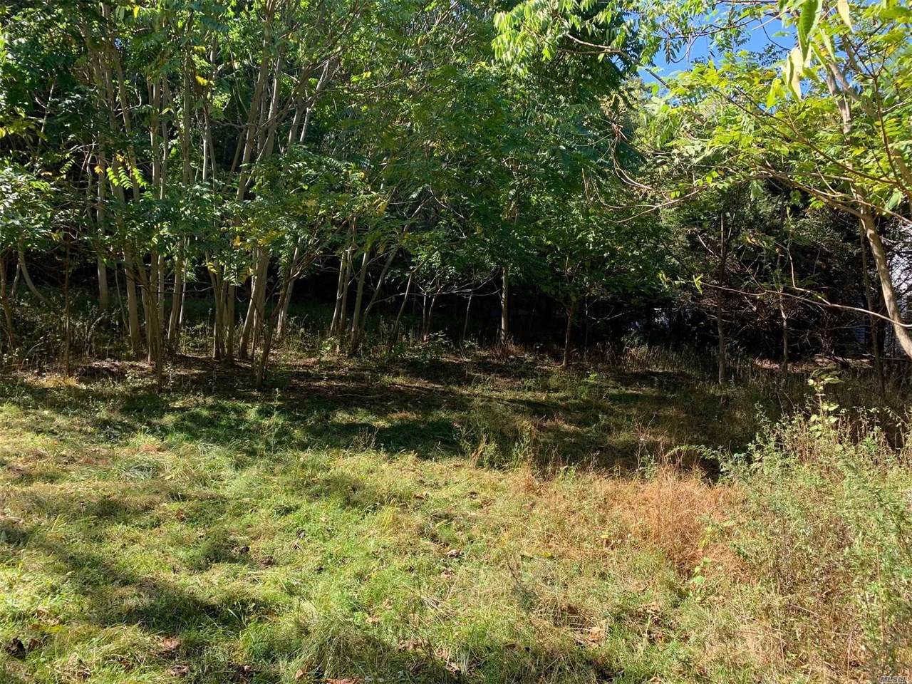 Lot 2 Country Road - Photo 1
