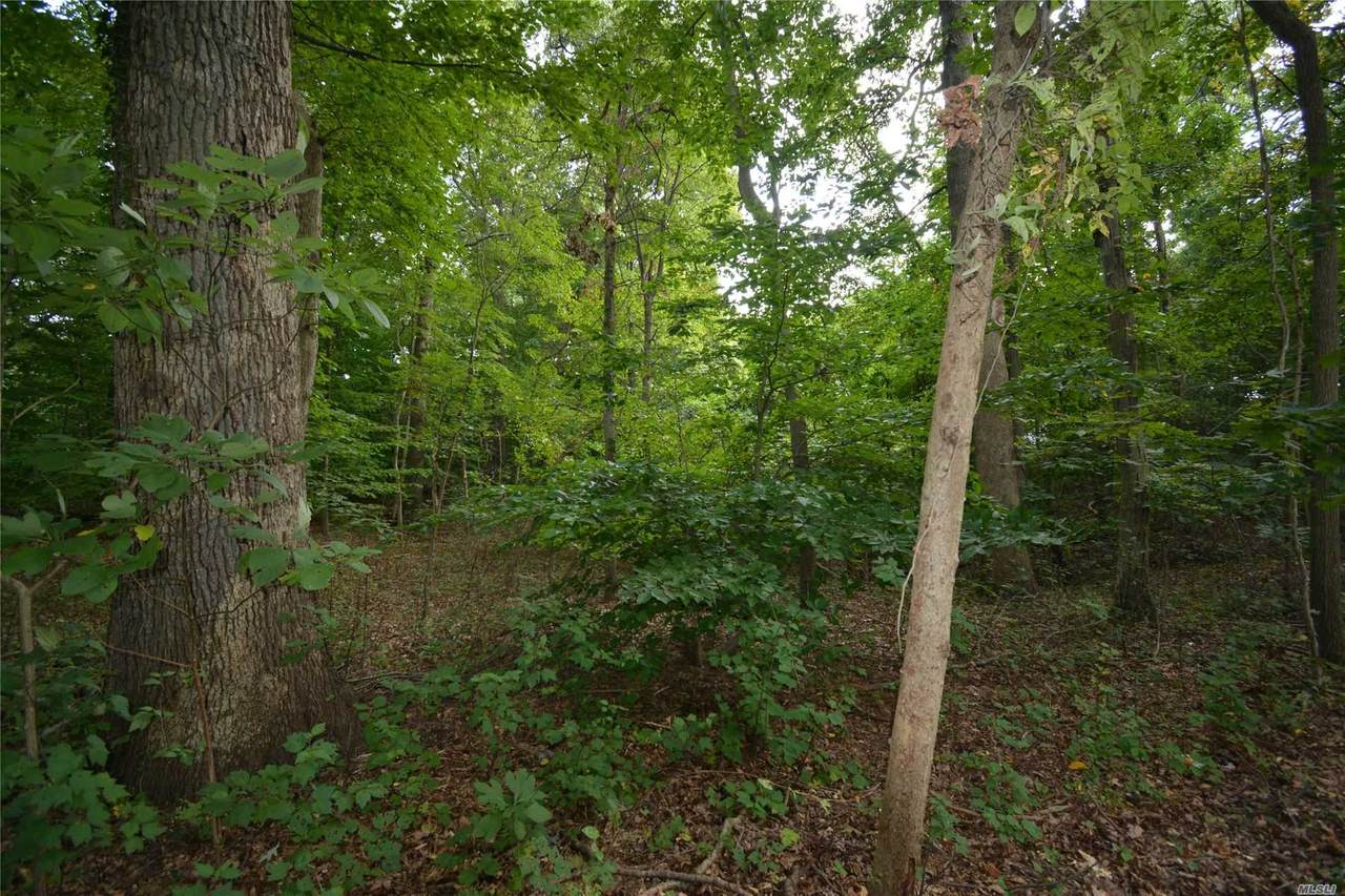 515 Long Beach Road - Photo 1