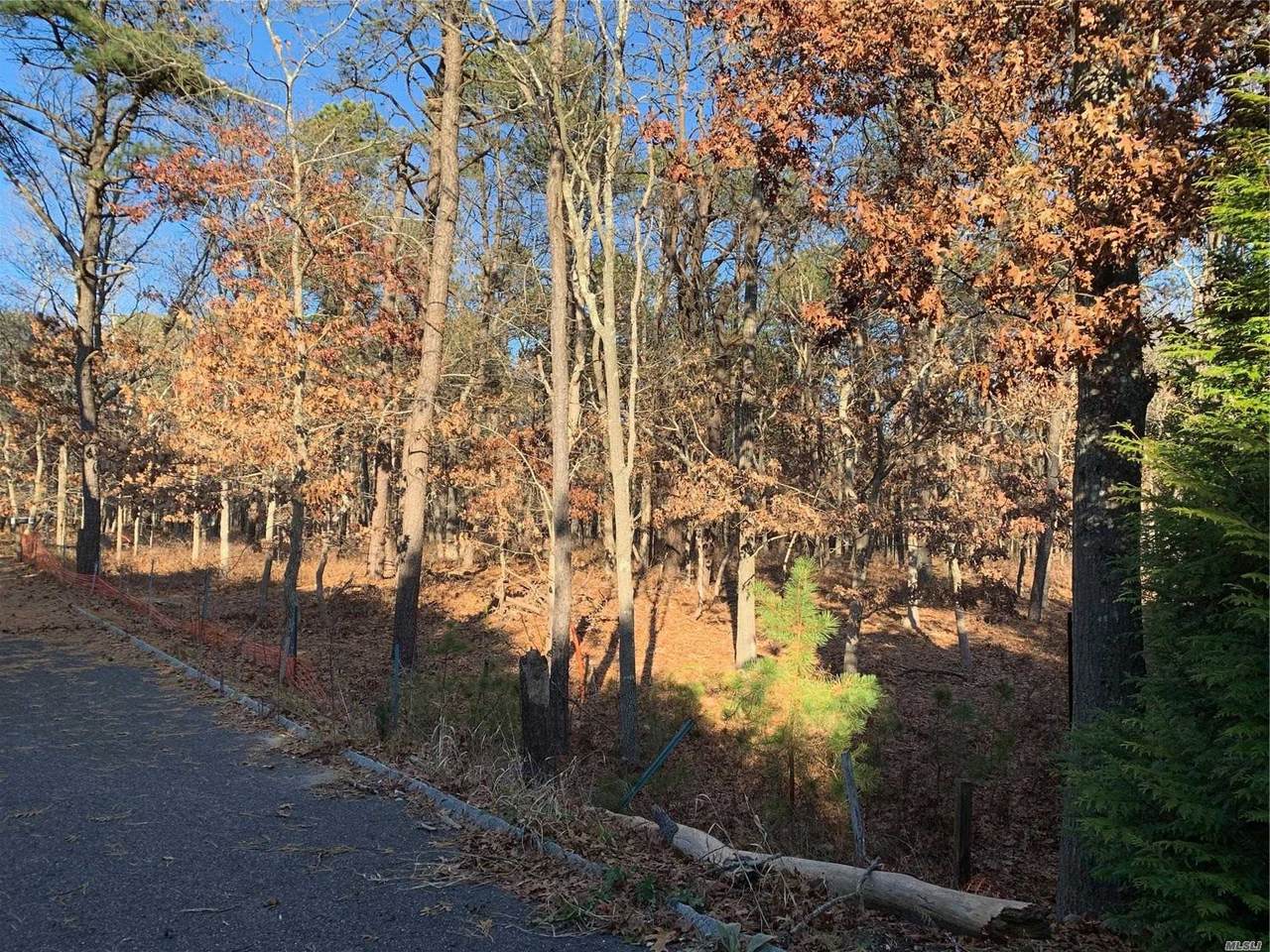 21 Jeffrey Lane - Photo 1