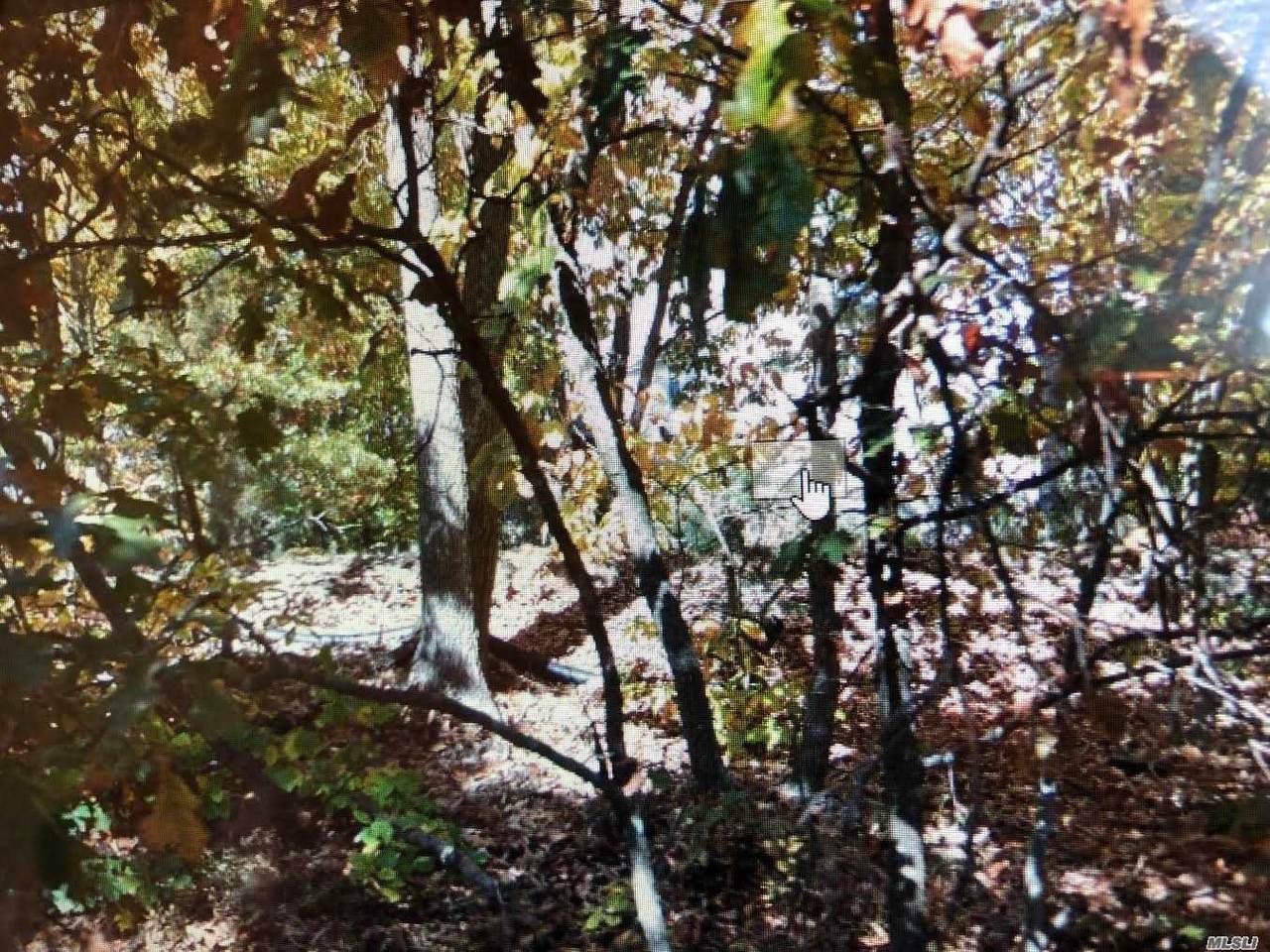 Park Drive - Photo 1