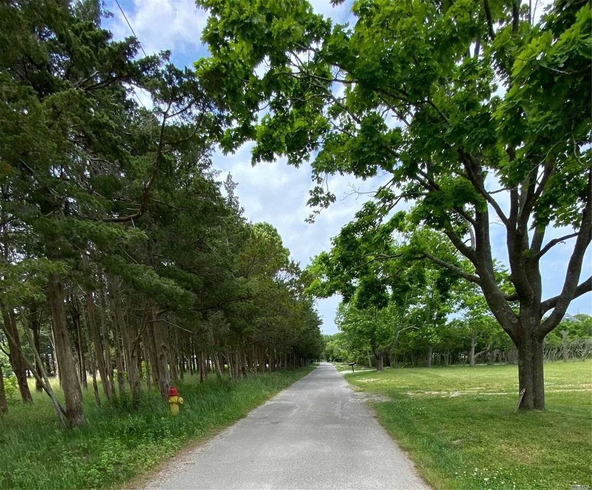 6 Jagger Lane - Photo 1