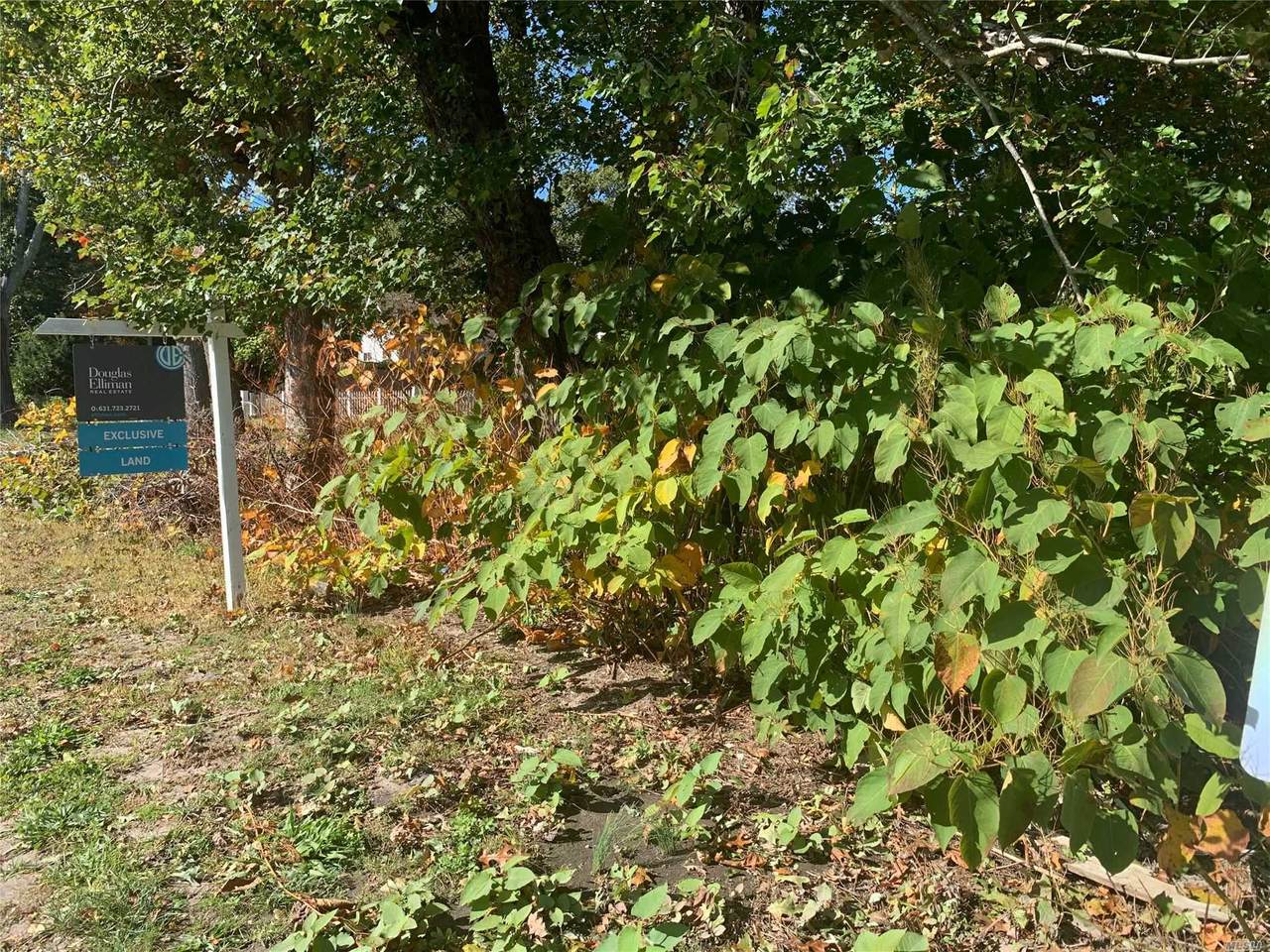 526A Hubbard Avenue - Photo 1