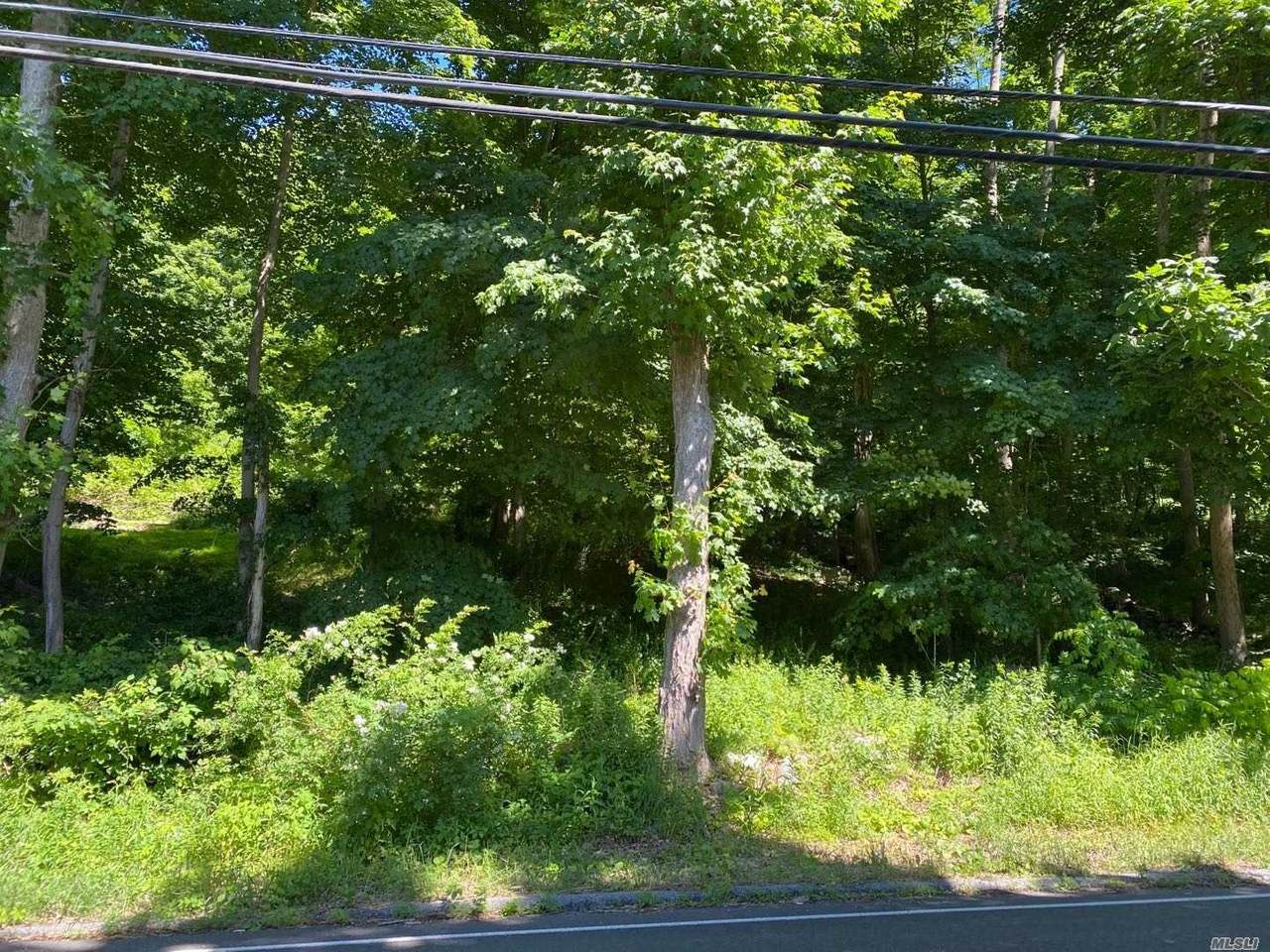 639 Peekskill Hollow Road - Photo 1