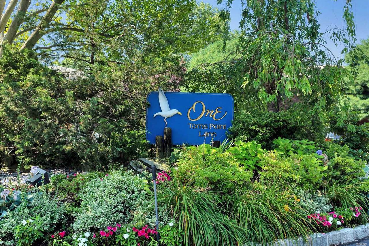 1 Toms Point - Photo 1