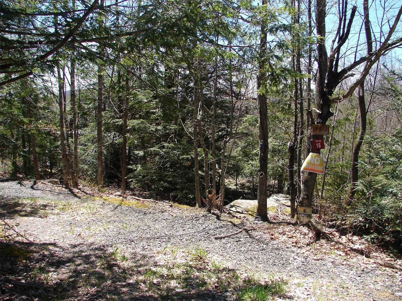 16 Eds Road - Photo 1