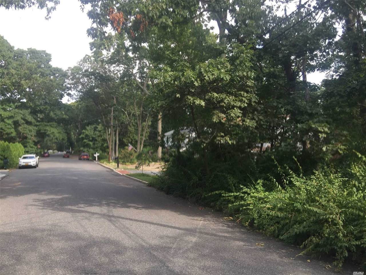 Broadview Avenue - Photo 1