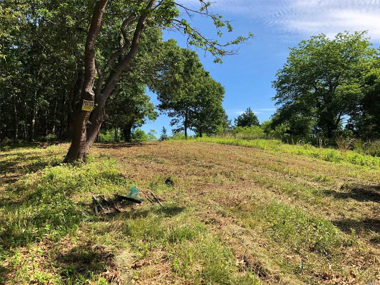 Lot 14 & 3 River Road - Photo 1
