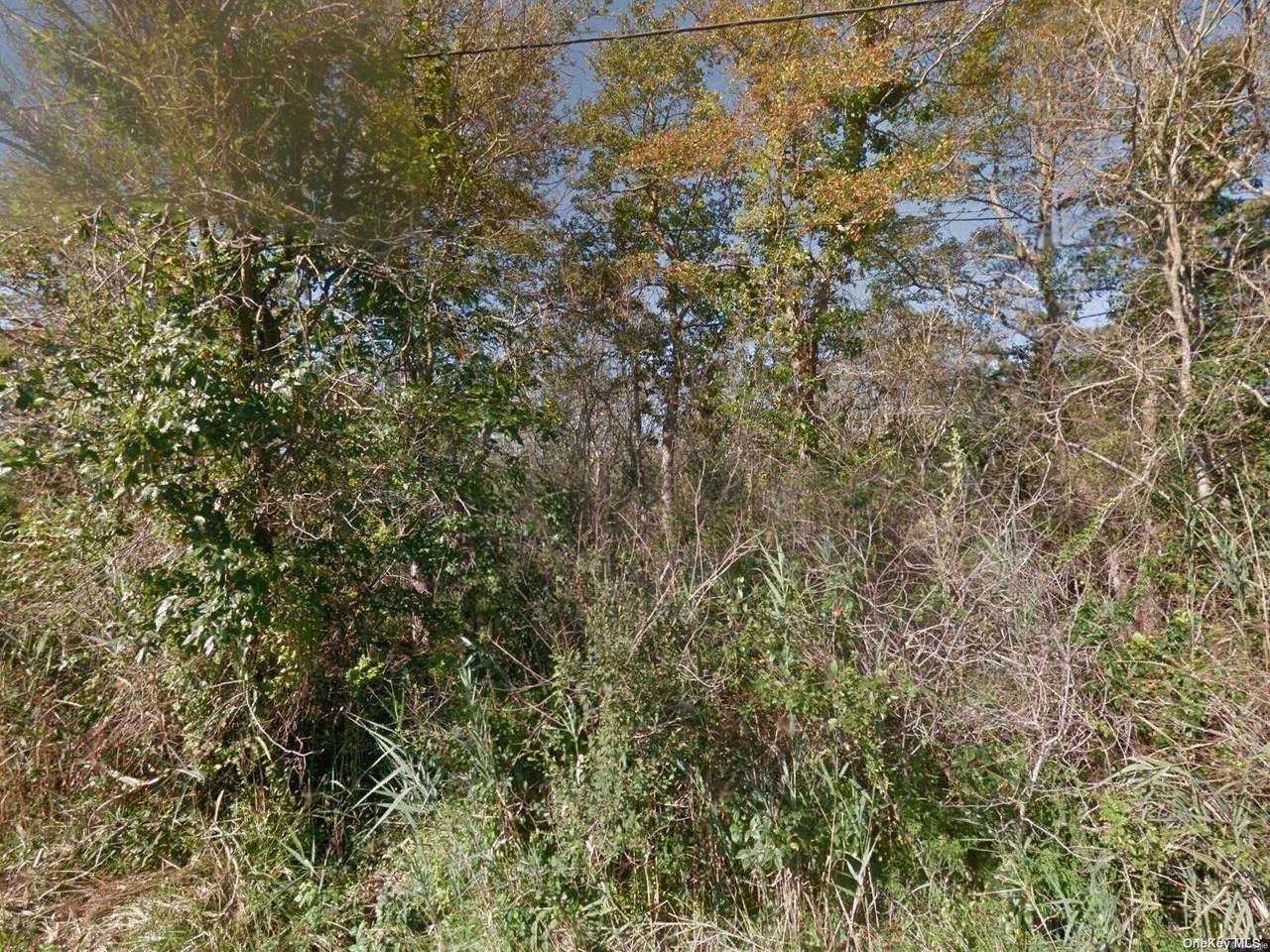 Lot 56 Diana Drive - Photo 1