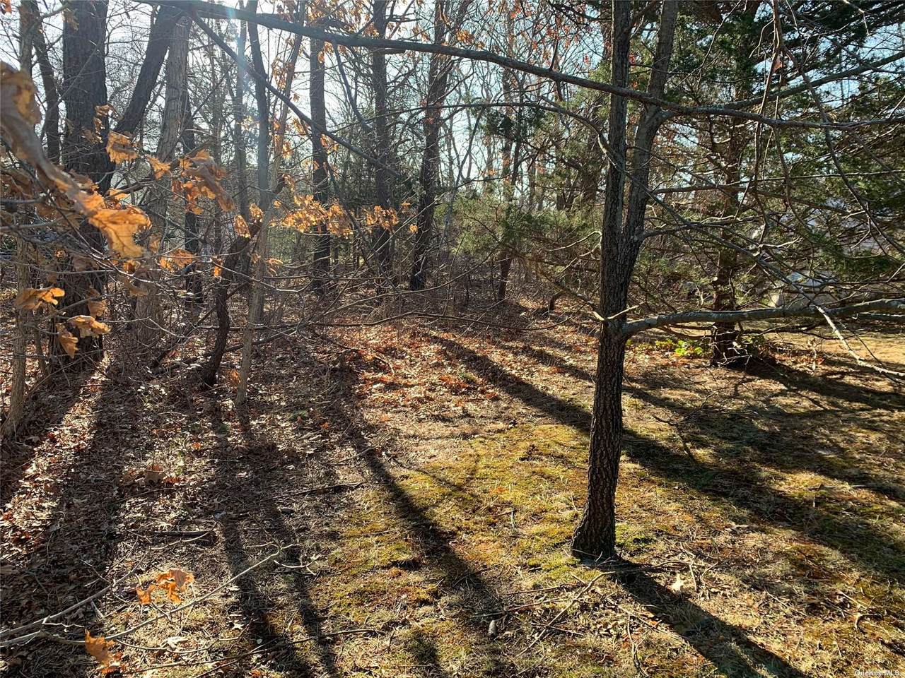 V/L 28-2 Petty Lane - Photo 1