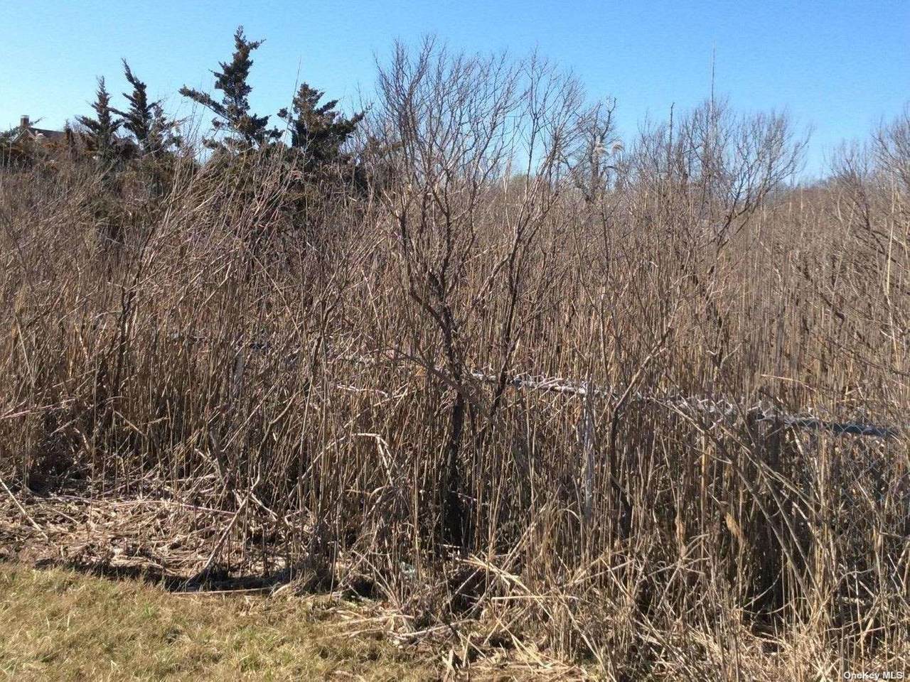VL Lot 13 Hickory Road - Photo 1