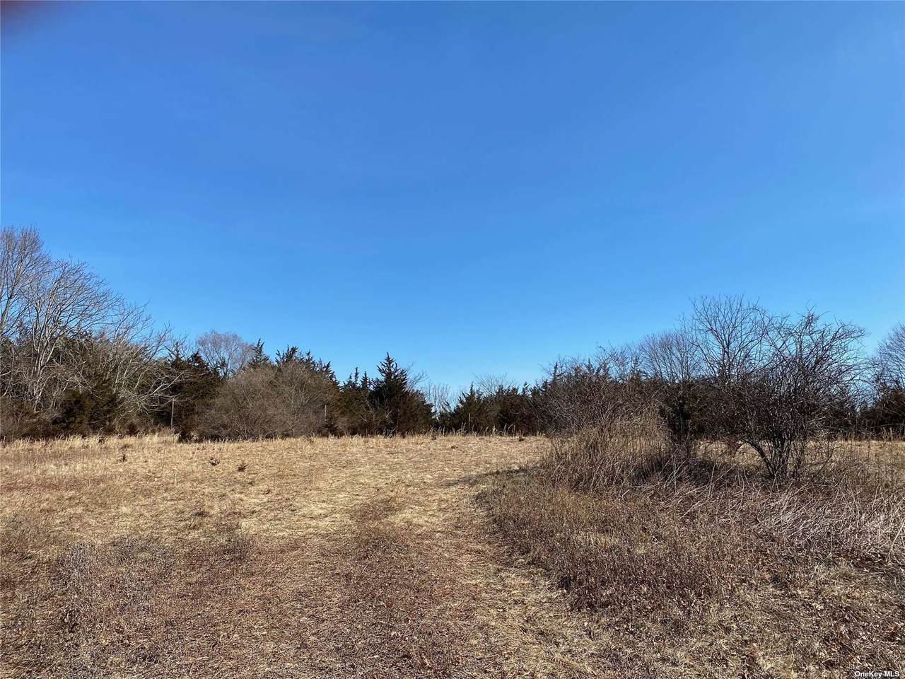 22 Tuthills - Photo 1