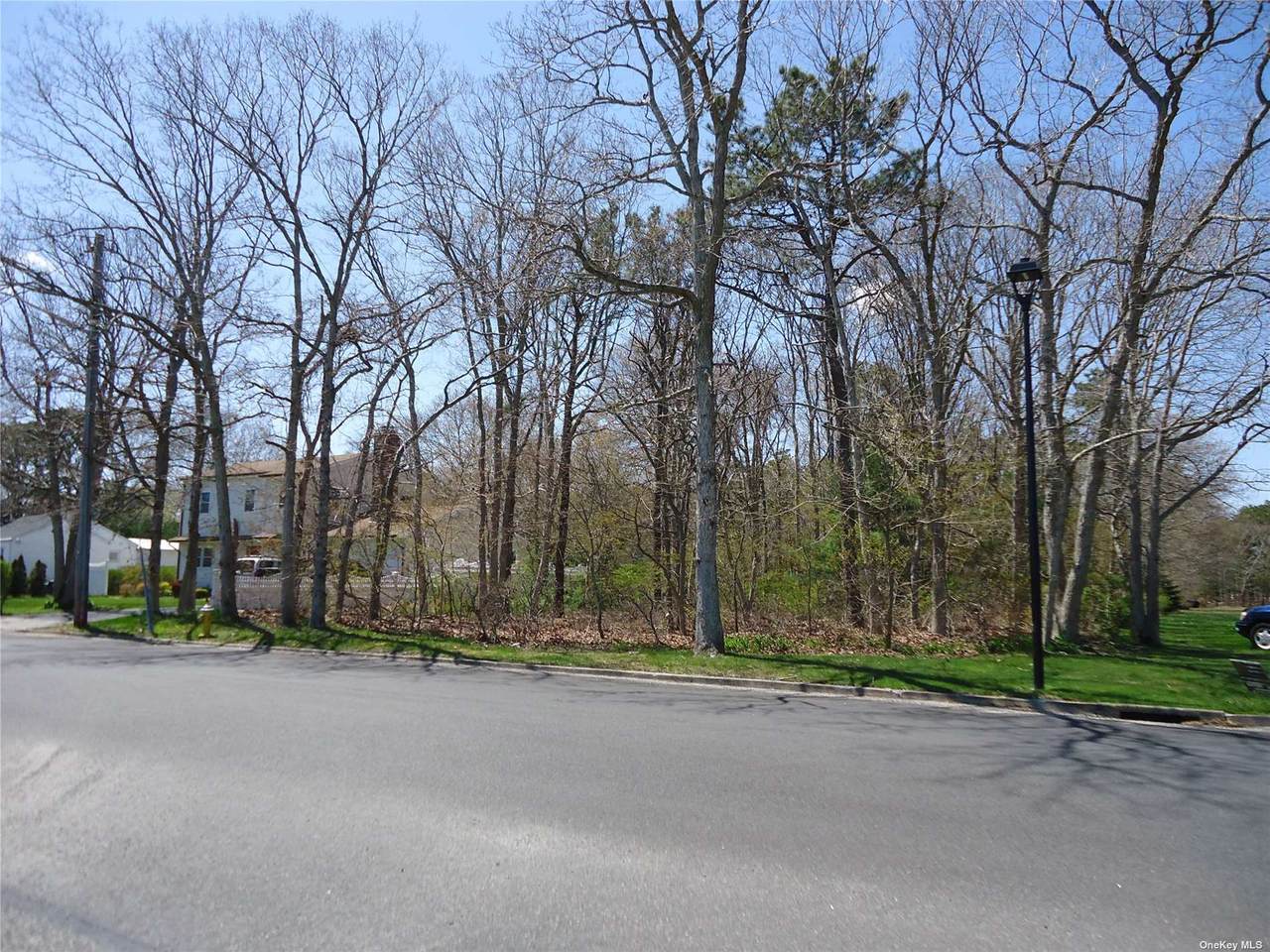 V/L 30 Tremont Avenue - Photo 1