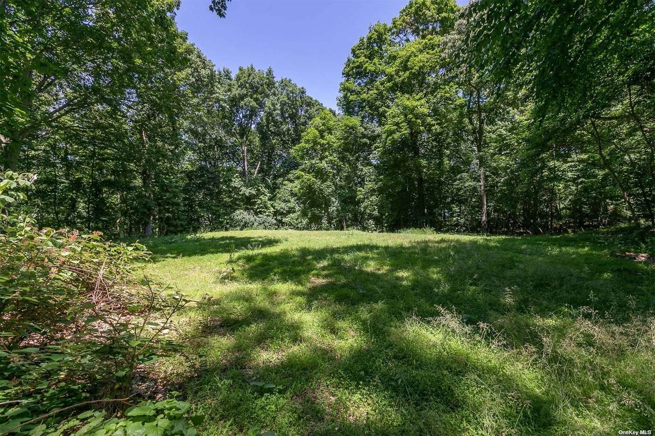 5 Hawks Nest - Photo 1
