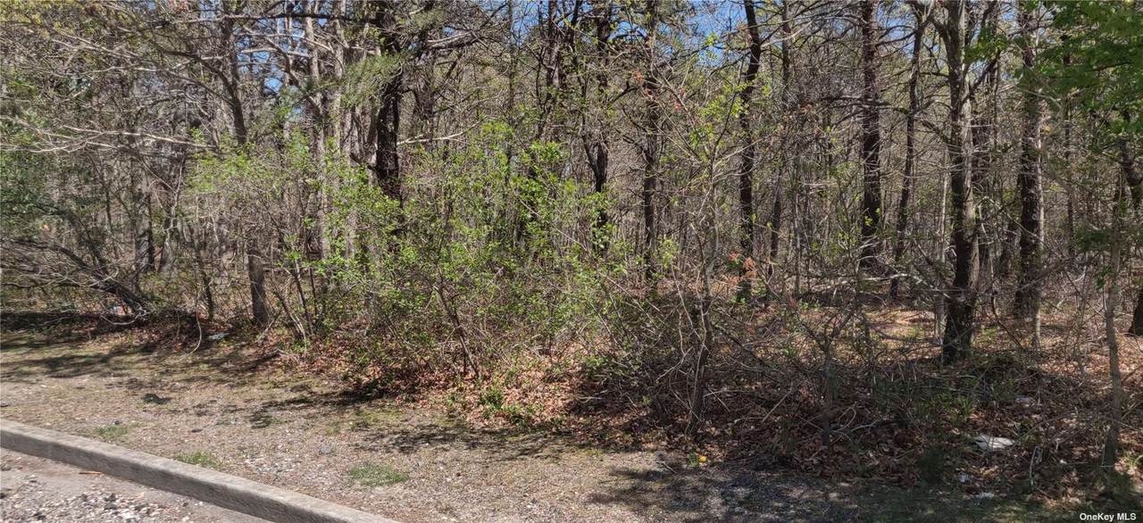 Lot 1 Brookwood Ln - Photo 1