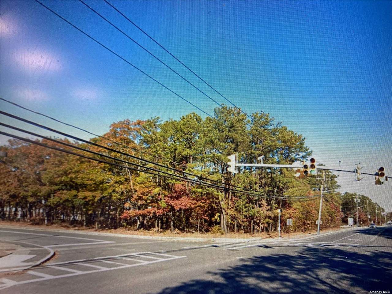 Mastic Road - Photo 1