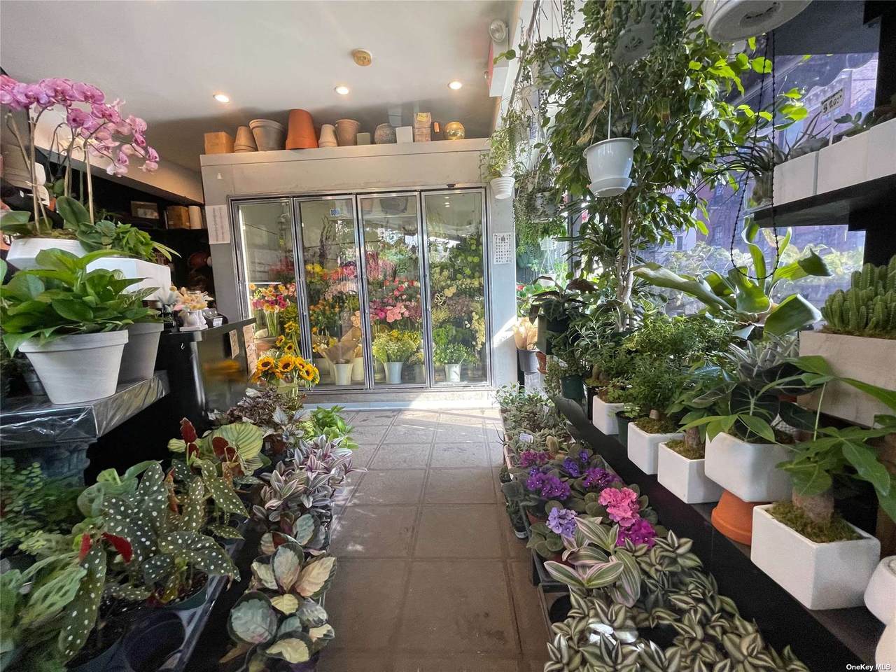 70 Greenwich Avenue - Photo 1