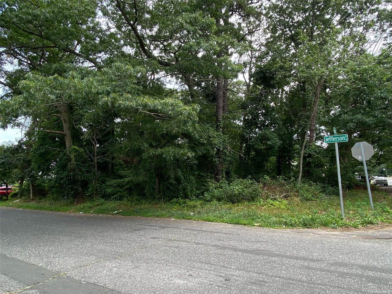 131 Jefferson Avenue - Photo 1
