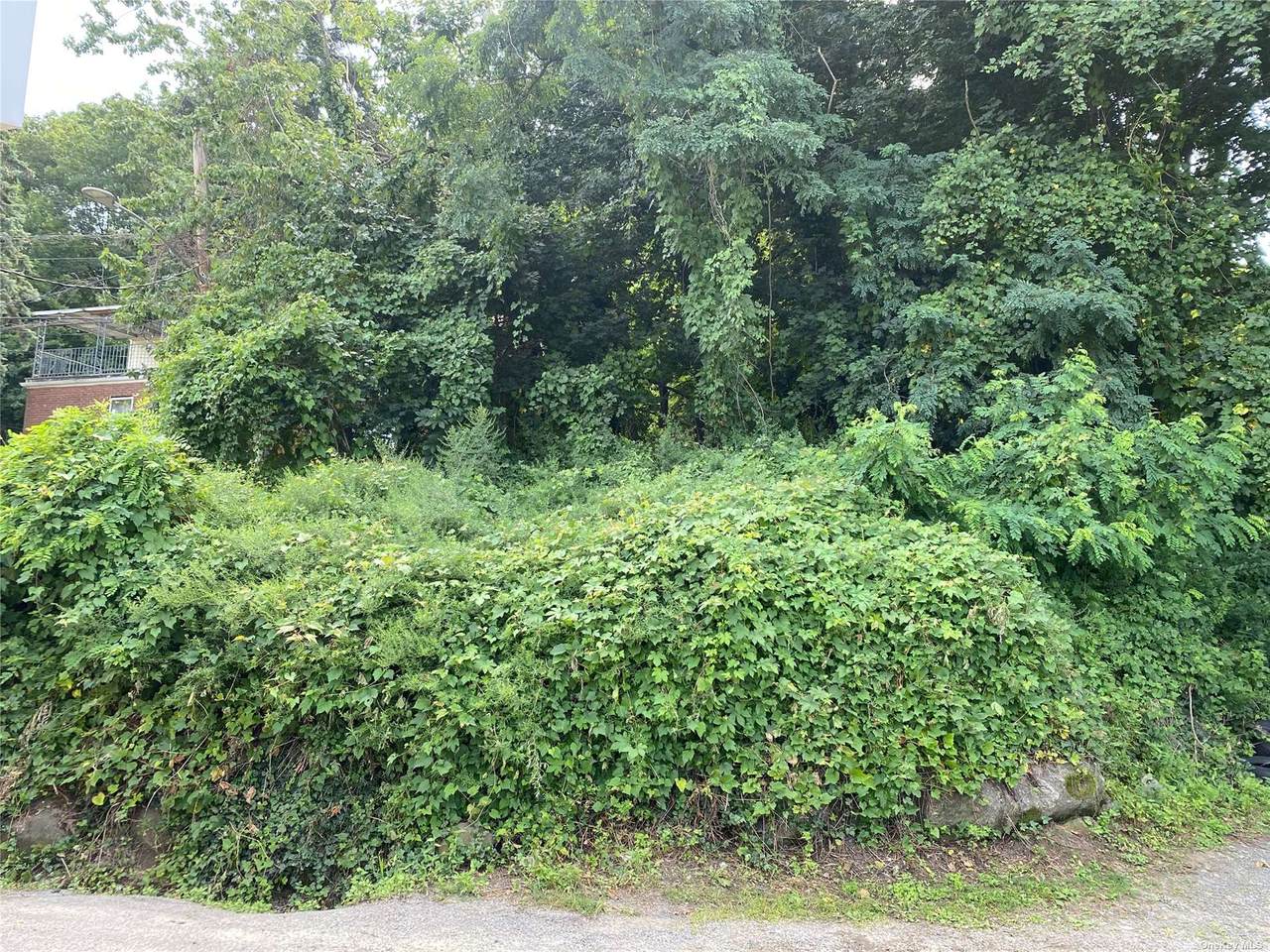 224 Oak Street - Photo 1