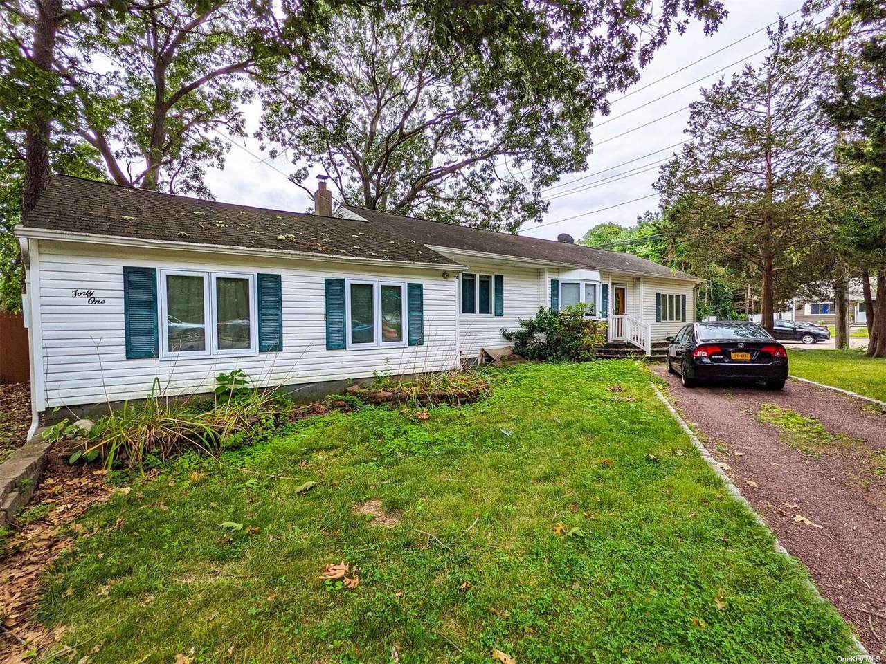 41 Mon Repos Lane - Photo 1