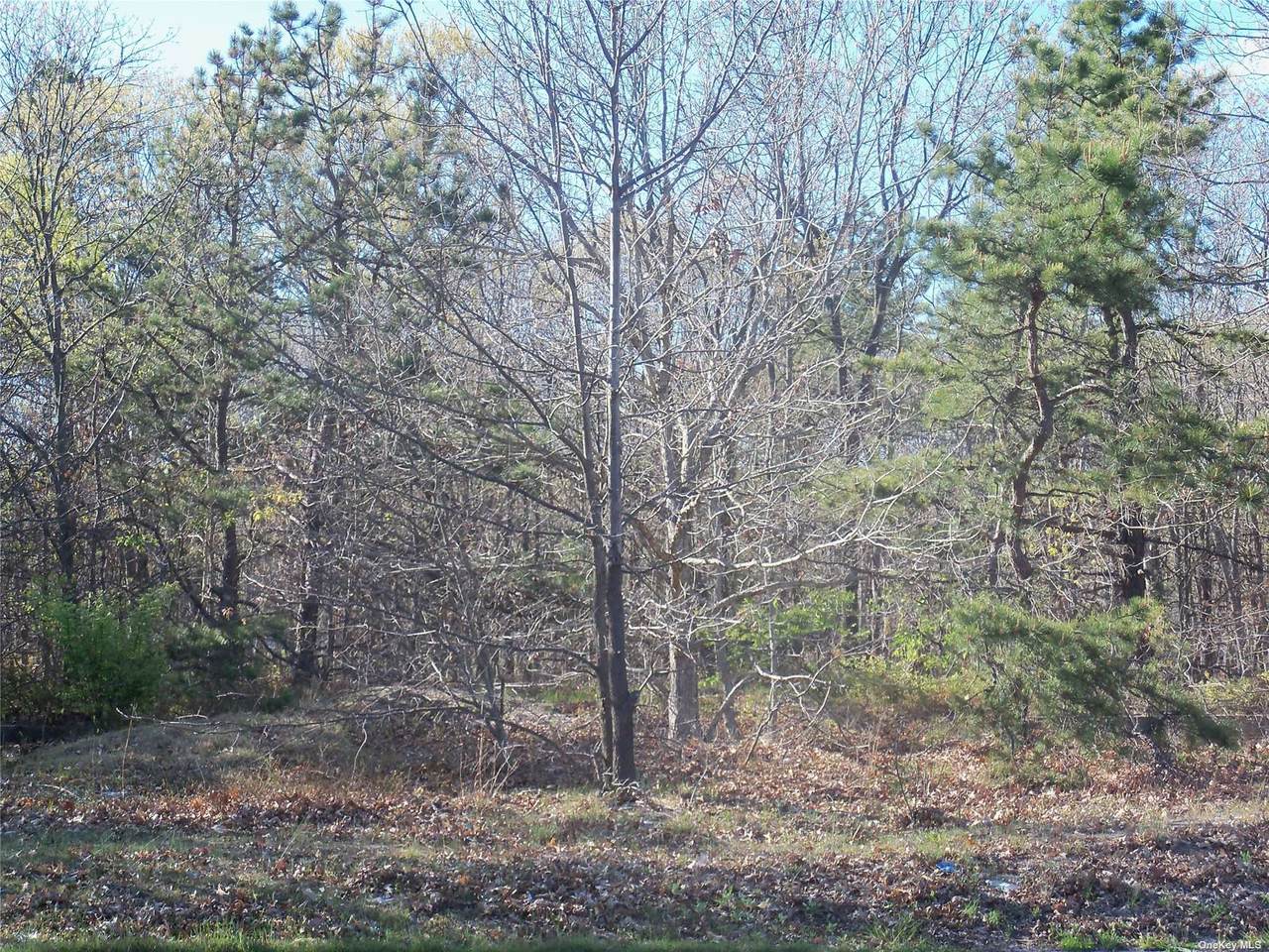 266 Mark Tree Road - Photo 1