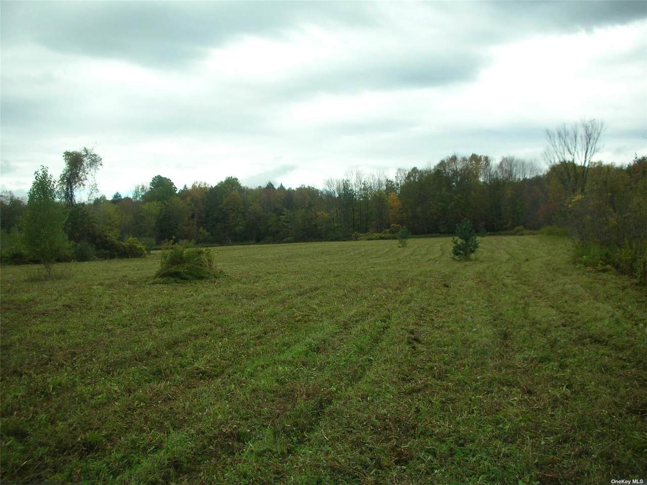 0 Glass Factory Rd - Photo 1
