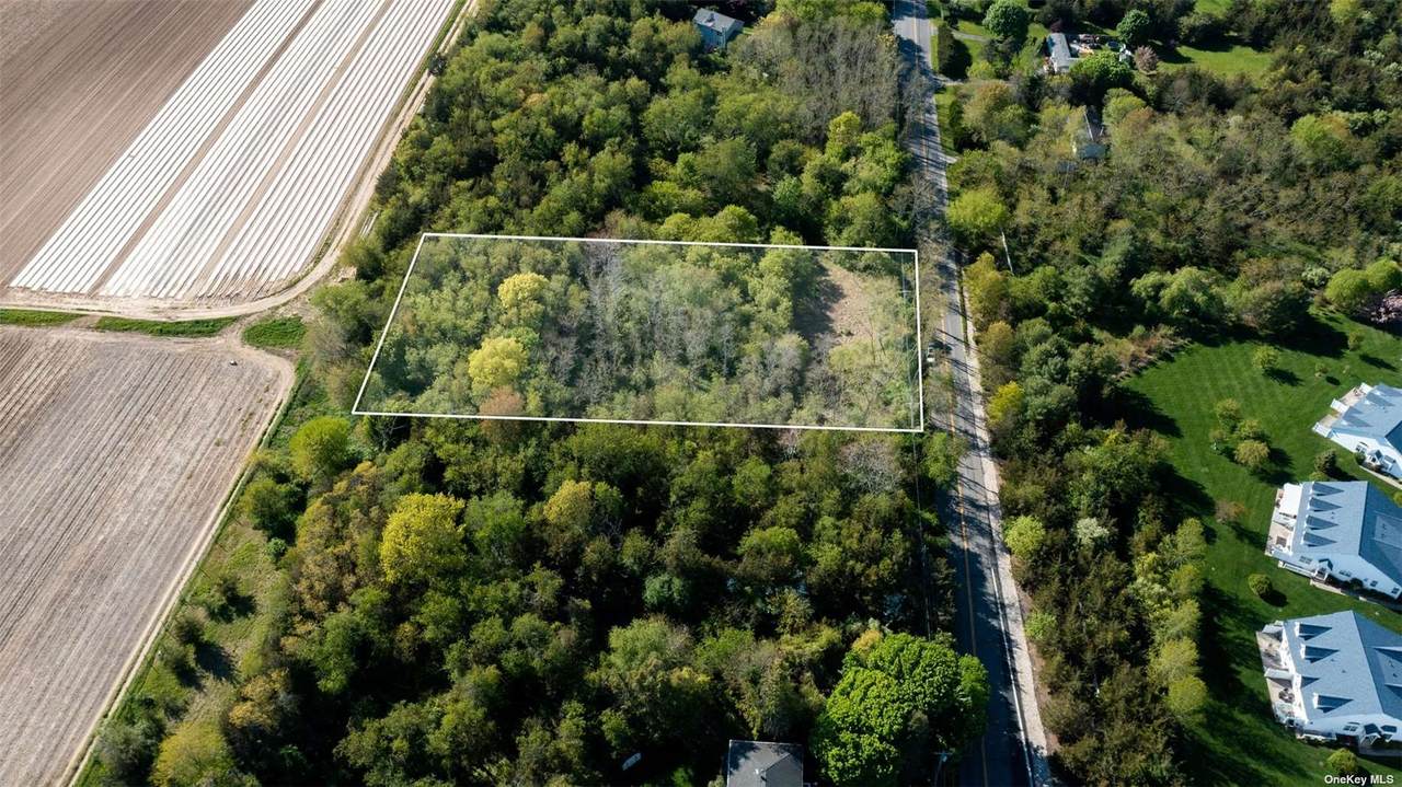 495 West Lane - Photo 1