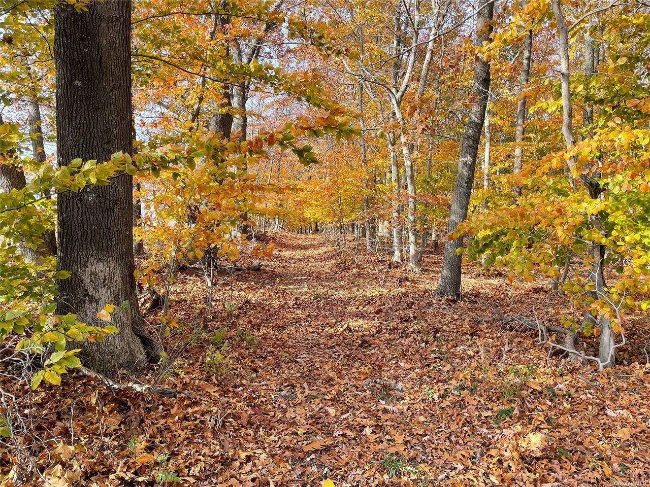 15325 County Road 48 - Photo 1