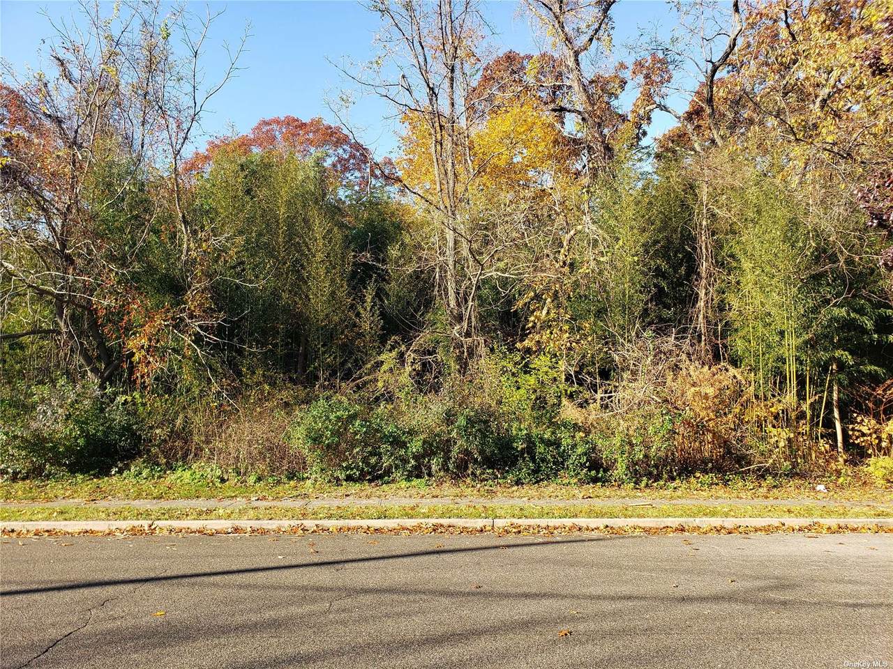 Dietz Avenue - Photo 1